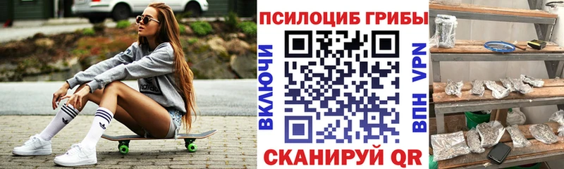 Псилоцибиновые грибы Cubensis  blacksprut tor  Ноябрьск 